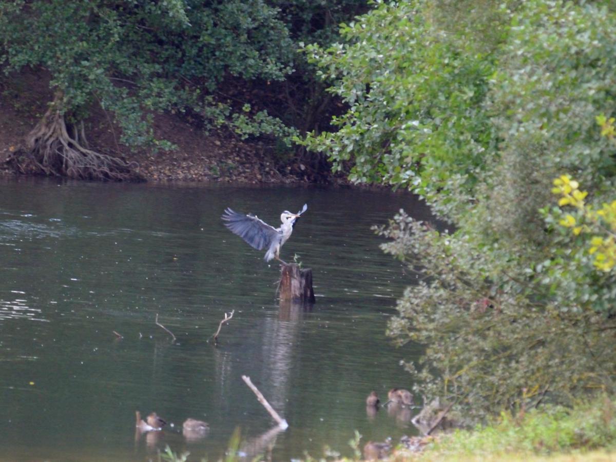 Вилла La Ravine Au Bord Du Loing Montigny-sur-Loing Экстерьер фото